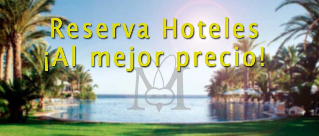 Reserva hoteles online