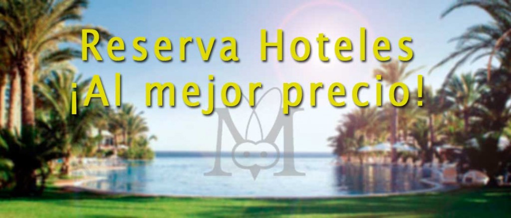 Reserva hoteles online